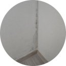 지인베스트 | [파주 와동동 도배]해솔마을 7단지 롯데캐슬 아파트 실크도배 LX지인 베스트 크림화이트 부분도배 시공후기