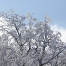 솔가지목장 이미지