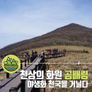 제326차 정기산행 인제 곰배령 이미지