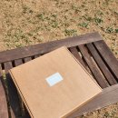 발안천 산책로 | 강아지 케이프[이쁘댕] with 애견동반 벚꽃놀이