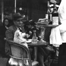 도시 강아지 이미지