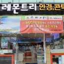 레몬트리 안경콘택트 이미지