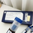 급찐급빠엔 먹는 위고비 마이토스 레몬버베나 다이어트&amp;애사비