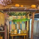 옹고집쌈밥 이미지