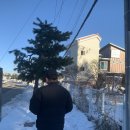 밥스카페 이미지