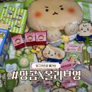 세이프헬스케어 | 올리브영 망그러진곰 콜라보 제품 추천템 망곰 담요 굿즈 후기