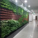 힐링정원 이미지