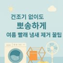 뽀송뽀송 이미지