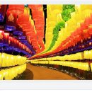 청사초롱 이미지