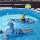 별고을테마파크 | 경북 성주, 별고을테마파크 방갈로 숙박후기(당일수영장이용도가능)