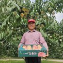 신기농장 | 겨울 복숭아 설숭아 홍현농장 복숭아택배 후기