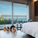 세인트존스 동물병원 이미지