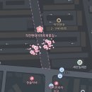 계양테니스장 | 인천 만개한 벚꽃길 추천(작전 현대 아파트 벚꽃길, 계양 서부천 벚꽃길) 4월4일 방문 후기