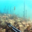 백운포로 이미지