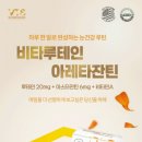 비타스프링