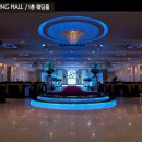 영스포렉스 이미지