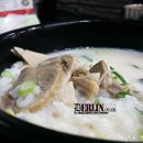 맛쪼은