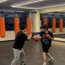 마루복싱 이미지