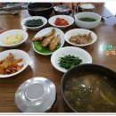 시골밥상펜션 Daum카페
