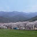 쌍계사