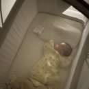 드림세탁 이미지