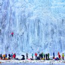 청산사슴농원 이미지