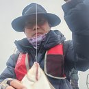 참가자미 이미지