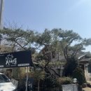 산앤들 | 청계산맛집, 의왕맛집 캠핑느낌 가득한 야외바베큐 식당 산앤들 후기