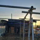 리하이브 이미지