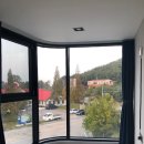 데이바이디 이미지