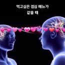 에스엠피약국 | [성수동] 그믐족발 [신촌]포메인,인도나라 [한남동] 다운타우너 [을지로] 신세계 백화점 본점 속초...