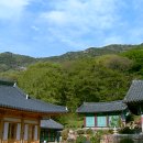 @ 부산의 숨겨진 명소, 숲길 둘러보기 ~~~ 이미지