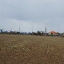 가파도상동민박 이미지