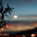 연재문고 이미지