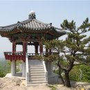 대림목재 이미지