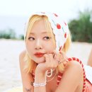 이비뮤직실용음악학원 이미지