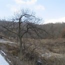 조산농장 이미지