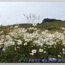 ABLE공인중개사사무소 이미지