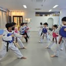 용인대 남양 태권도장 이미지