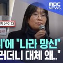 우파 보수들의 한강 노벨문학상 반대 시위, 스웨덴에서, 나라 망신, 이미지