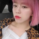 벨리즈프로헤어