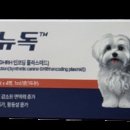 플럼라인
