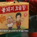 꽃돼지세상 이미지