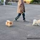 대장금마실길(4코스) | 서귀포 가볼만한곳 제주 민속촌 아이 강아지랑 산책하기 좋은 체험 코스 인생샷 찍기