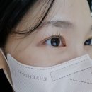 졸리비스킨 | 양주 덕계역 속눈썹펌 잘하는 곳, 졸리비스킨 (숨은 속눈썹펌 맛집! 시술후사진O)