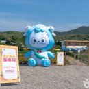 꽃으로 힐링 ** | 청양 카페 &#39;꽃이 머무는 자리&#39; | 꽃으로 물든 힐링 공간, 직접 체험해보세요