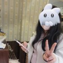 쿠키들의 하루 이미지