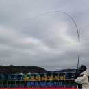 독도낚시