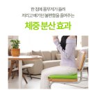 의자에 앉기만 하면 꼬리뼈가 아픈 당신, 방석 유목민 그만 끝내세요 | 밸런스온 시그니처 시트 44...