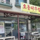 오동나무집 | 홍천 칼국수 맛집 팔봉산 근처 오동나무집 시골칼국수 후기